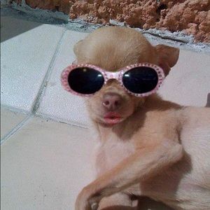 Meet your Posher, Lupe